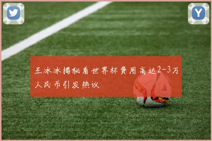 王冰冰揭秘看世界杯费用高达2-3万人民币引发热议