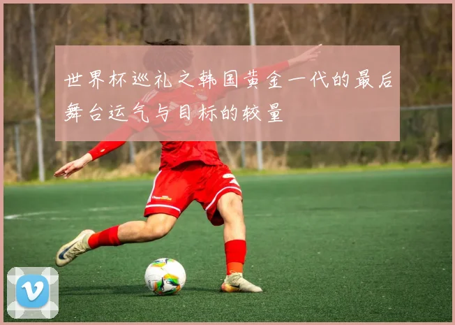 世界杯巡礼之韩国黄金一代的最后舞台运气与目标的较量